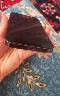 ۱۴پرومکس