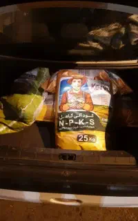 افزایش محصول صددرصد تضمینی با کودگیاهی