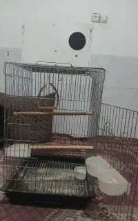 قفس پرنده