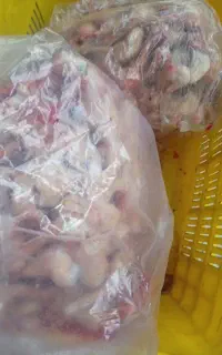 غذای سگ