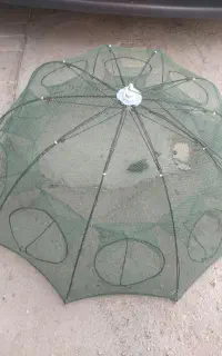 گره گوی برای بچه ماهی