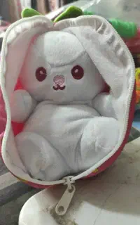 عروسک خرگوش پنهان