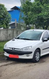 206sd v8 بی رنگ