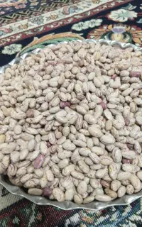 لوبیا چیتی