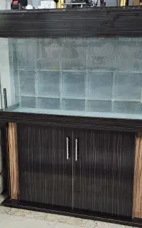 اکواریوم