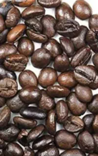 قهوه ربوستا