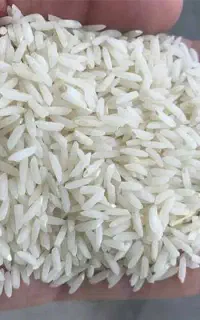 برنج بینام هاشمی مازندران خالص (کالابرگ وچکی)