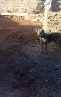 کوچک 7ماهه