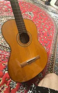 گیتار اریا اصل