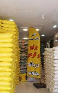 برنج فجر و چمپا مرغوب با قیمت استثنایی