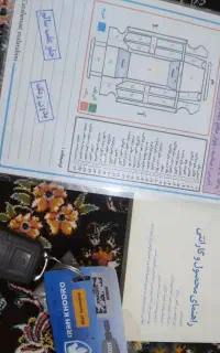 پژو 405 دوگانه کارخانه دلفینی