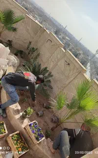 باغبانی ،هرسکاری ،سمپاشی،تیلرزنی،