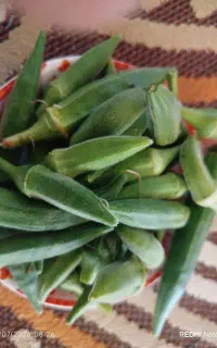 بامیه تازه.چین روز