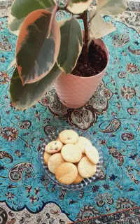 شیرینی کشمشی برای فروش مغازه و فروشگاه