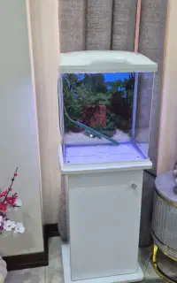 اکواریوم