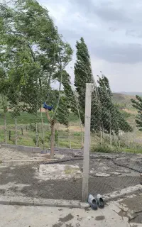 کارگر جهت کار در گاوداری