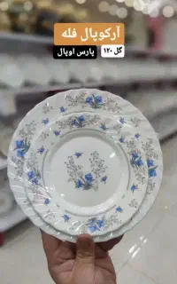 آرکوپال پارس 120لب طلا 124ایروپال فله سرویس