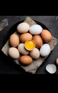 تخم مرغ محلی