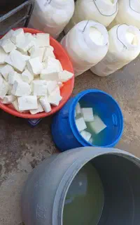 پنیر محلی اعلا