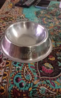 ظرف غذا  سگ