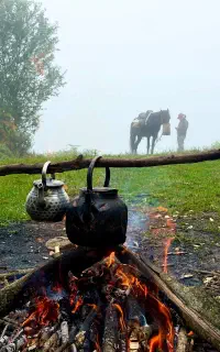 تور گروهی سوارکاری در جنگلهای هیرکانی ویژه بانوان