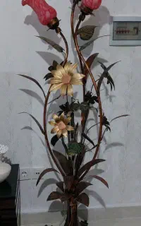 آباژور در حد نو