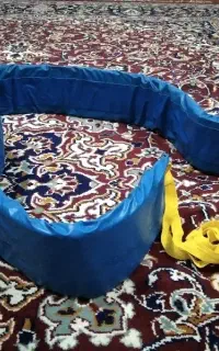 نجات گر استخر