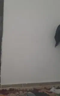 نظافت نظافت نظافت