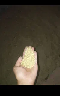 جوبذری بوجارشده
