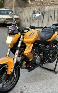 binelli300