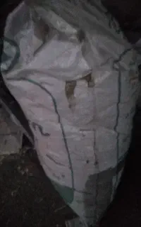 پوکه گلخانه ای