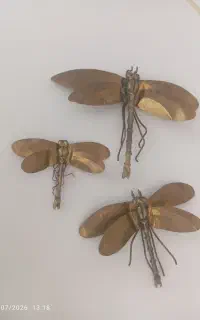 توافقی