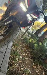 cbr250rr