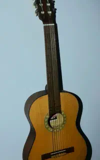 گیتار