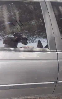 مدل۸۸