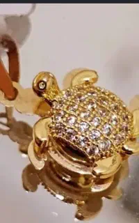مدال طلا گم شده