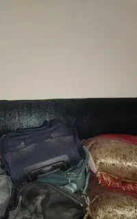 توری کشاورزی