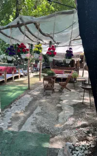 استخدام ۲ نفر کارگر برای باغ خانوادگی (بیدمجنون)