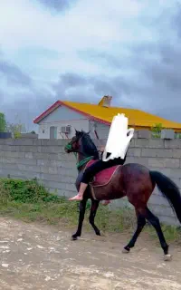 اسب دوخون ۱۶۵ قد ۶ سال