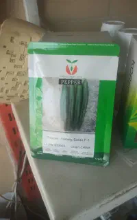 بذر فلفل تند سانتو پاکت 3900