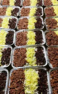 غذای پرسنلی با کیفیت ، برای افزایش بهره وری