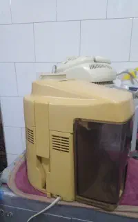 ابمیوه گیری اصل ژاپن مولینت