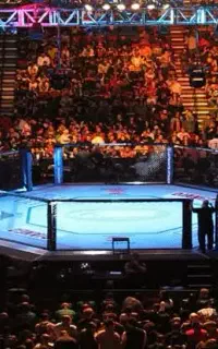 آموزش خصوصی MMA هنرهای رزمی ترکیبی
