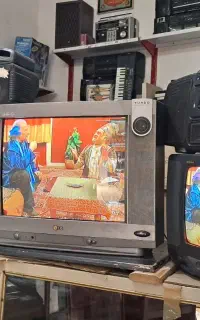 تلویزیون ۲۱ و ۱۴ و ۷ اینچ ویدئو سونی ارگ کاسیو