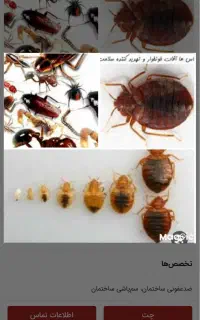 سمپاشی و موریانه زدایی با ضمانت کتبی (محمد حسینی )