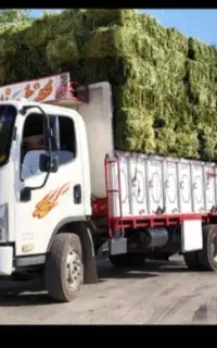 فروش کاه ویونجه
