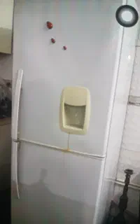 لوازم خانه یخچال فرش