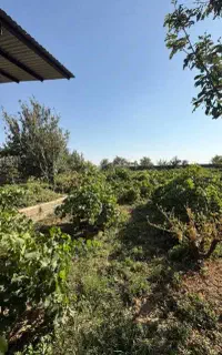 جویای کار نگهبانی