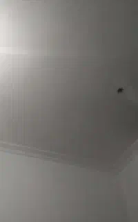 گچکار