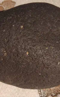 شهاب سنگ باجذب آهنربا و بدون جذب آهنربا
